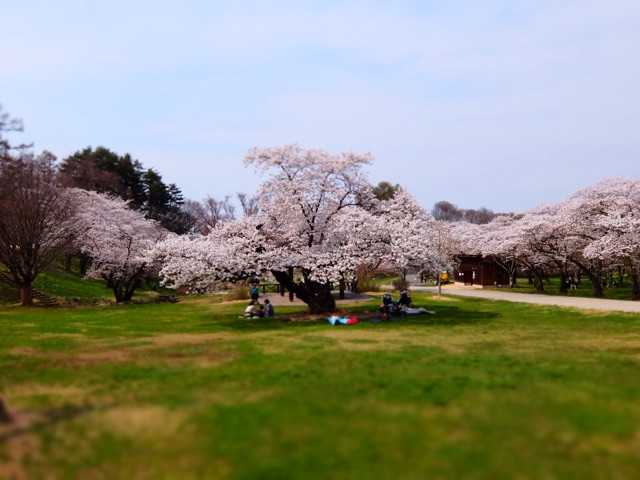 f:id:promenade39:20150417013231j:plain f:id:promenade39:20150417013231j:plain