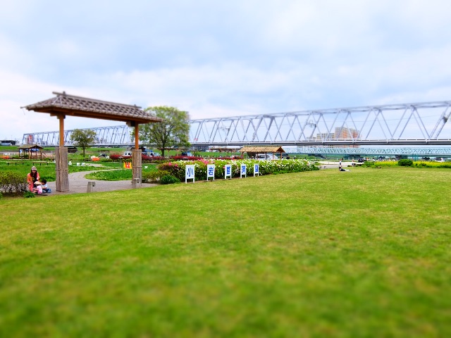 f:id:promenade39:20150501165353j:image f:id:promenade39:20150501165353j:image