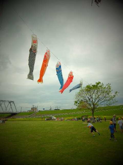 f:id:promenade39:20150501165403j:image f:id:promenade39:20150501165403j:image