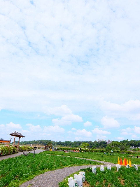 f:id:promenade39:20150501165928j:image f:id:promenade39:20150501165928j:image