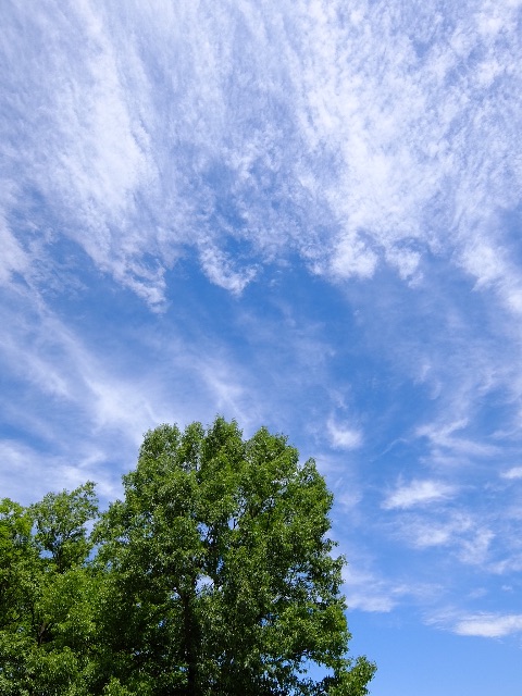 f:id:promenade39:20150606182837j:image f:id:promenade39:20150606182837j:image
