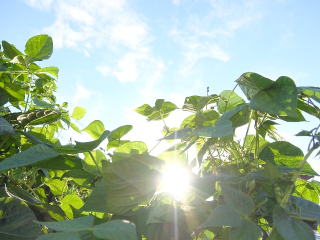 f:id:promenade39:20150713131232j:image f:id:promenade39:20150713131232j:image