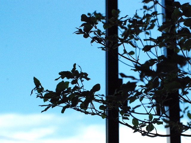 f:id:promenade39:20150715175759j:image f:id:promenade39:20150715175759j:image
