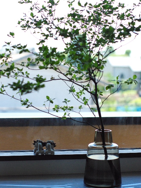 f:id:promenade39:20150715202644j:image f:id:promenade39:20150715202644j:image