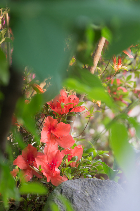 f:id:prrkotn:20140621234009j:plain f:id:prrkotn:20140621234009j:plain