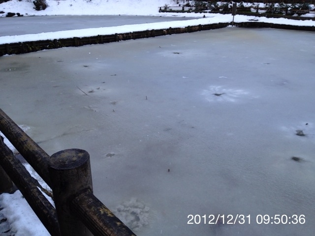 f:id:psychicer:20121231095036j:plain