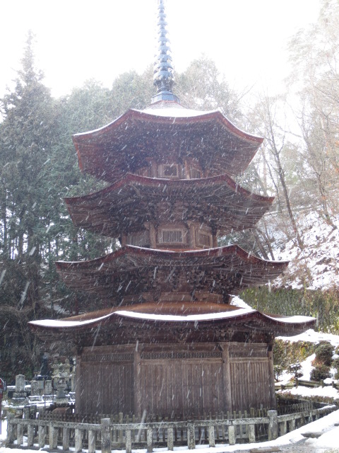 f:id:psychicer:20121231095843j:plain