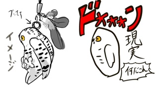 f:id:psychonion:20150130002158j:plain f:id:psychonion:20150130002158j:plain