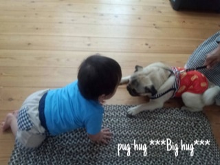f:id:pughug:20140519162353j:plain f:id:pughug:20140519162353j:plain