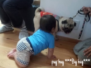 f:id:pughug:20140519191034j:plain f:id:pughug:20140519191034j:plain