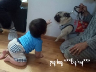 f:id:pughug:20140519191301j:plain f:id:pughug:20140519191301j:plain
