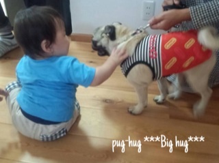 f:id:pughug:20140519191540j:plain f:id:pughug:20140519191540j:plain