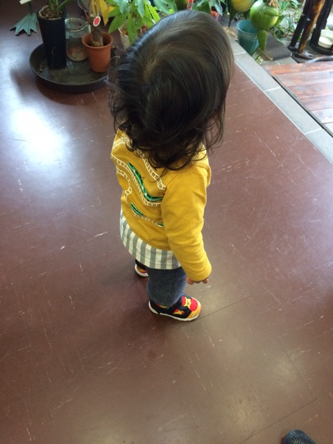 f:id:pukopukobubu:20151229105007j:plain f:id:pukopukobubu:20151229105007j:plain
