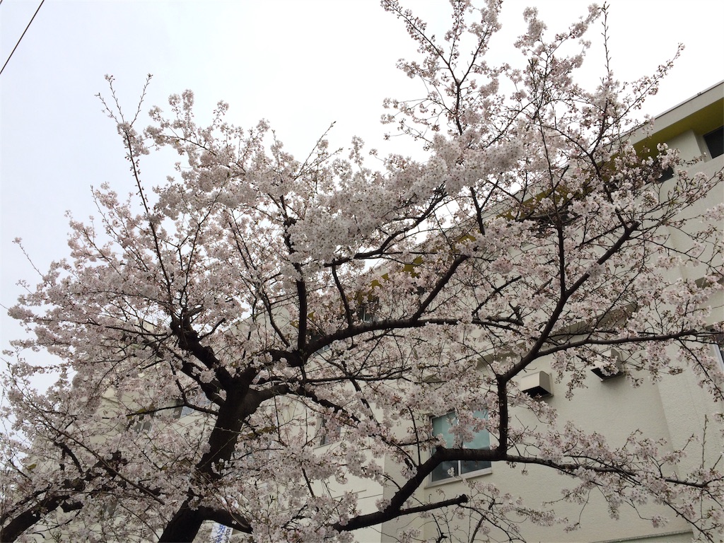 f:id:pukupan:20160330204528j:image f:id:pukupan:20160330204528j:image