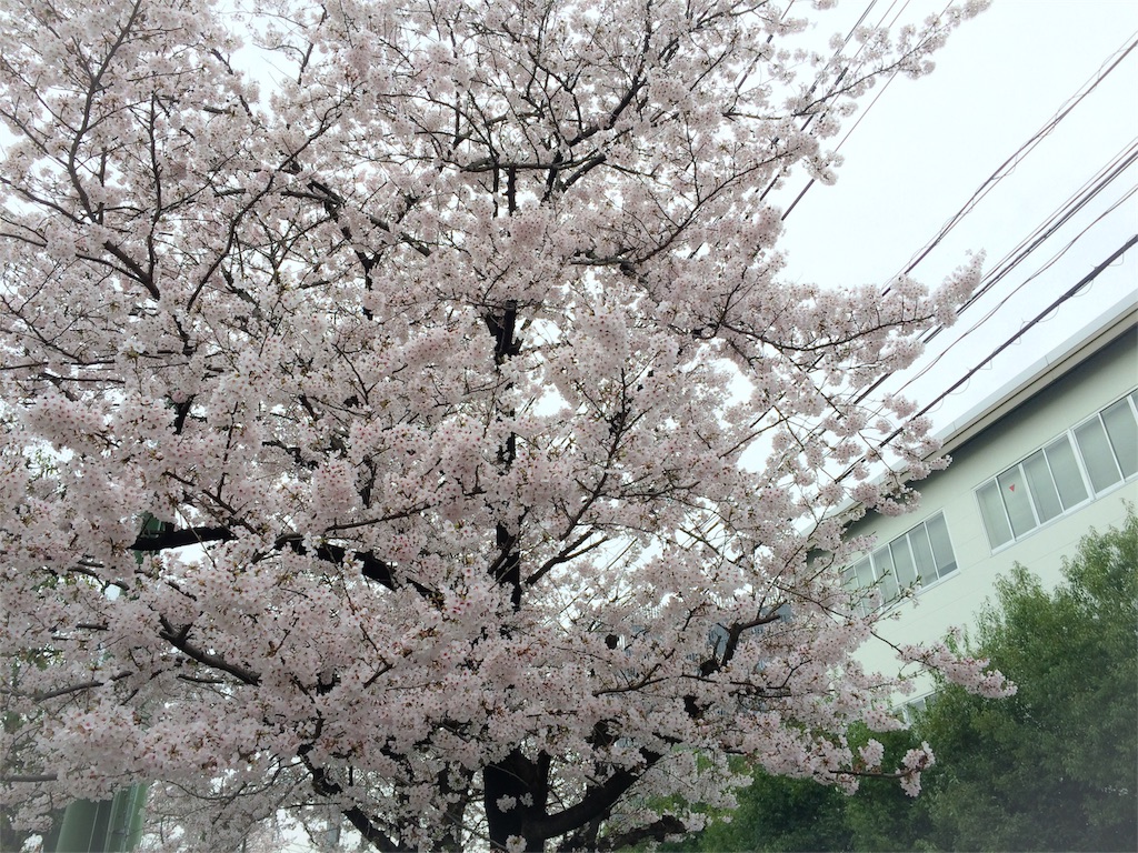 f:id:pukupan:20160404151118j:image f:id:pukupan:20160404151118j:image