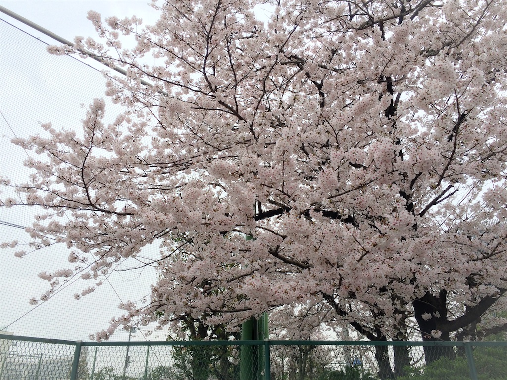 f:id:pukupan:20160404151148j:image f:id:pukupan:20160404151148j:image