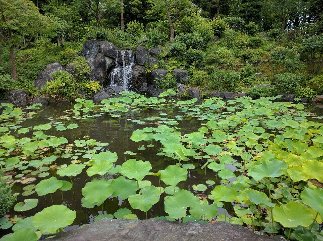 f:id:pukupan:20160718194530j:image f:id:pukupan:20160718194530j:image