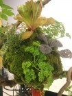 f:id:punch-zaru:20110402113309j:image:w100 f:id:punch-zaru:20110402113309j:image:w100