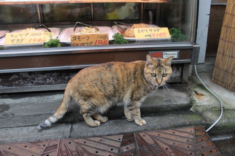 f:id:punch-zaru:20120318154312j:image:w400 f:id:punch-zaru:20120318154312j:image:w400