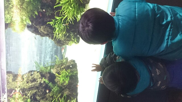 f:id:punikokko:20151229083909j:image f:id:punikokko:20151229083909j:image