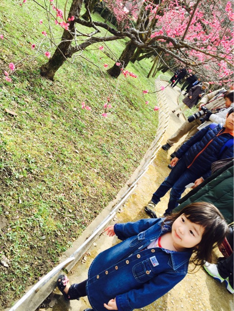 f:id:pur27:20150226220915j:plain f:id:pur27:20150226220915j:plain