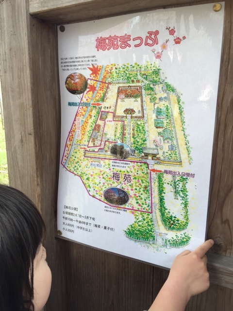 f:id:pur27:20150226223832j:plain f:id:pur27:20150226223832j:plain