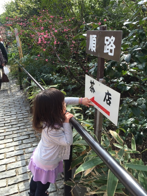 f:id:pur27:20150226223916j:plain f:id:pur27:20150226223916j:plain