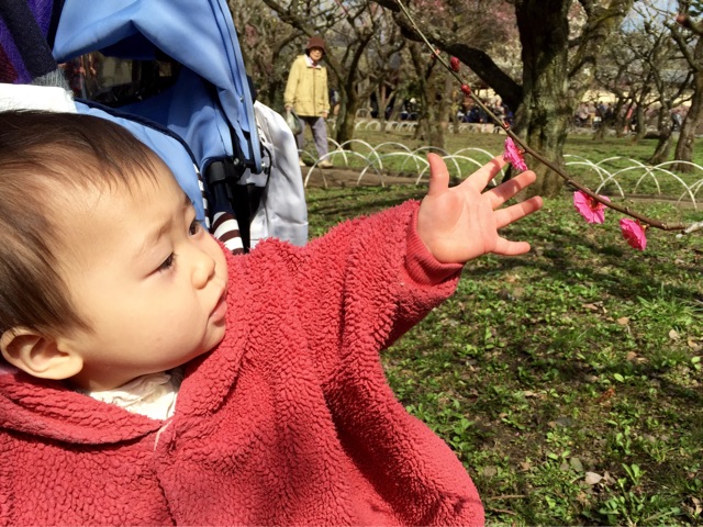 f:id:pur27:20150226224301j:plain f:id:pur27:20150226224301j:plain