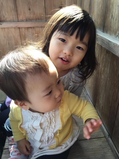 f:id:pur27:20150226224434j:plain f:id:pur27:20150226224434j:plain