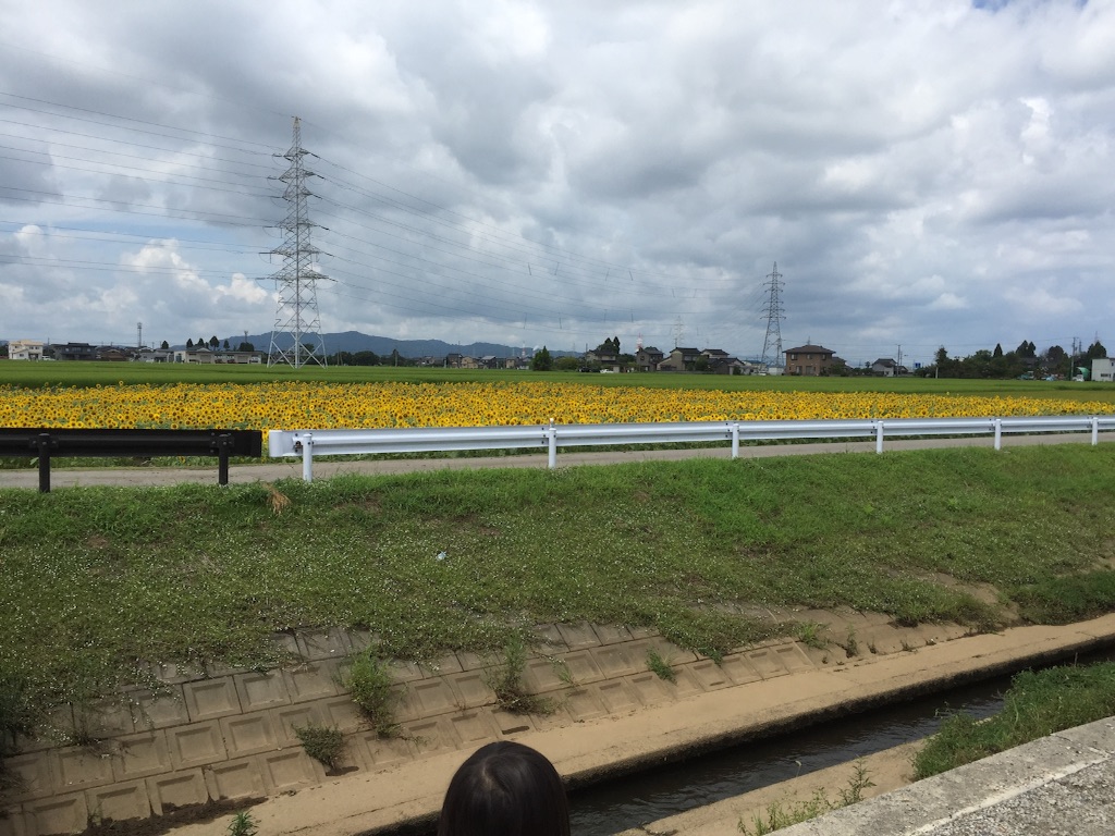 f:id:pur27:20150814132308j:image f:id:pur27:20150814132308j:image