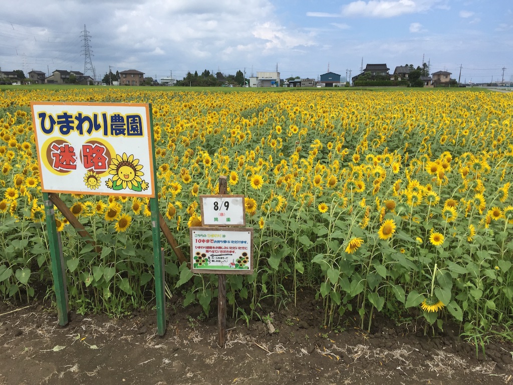 f:id:pur27:20150814132425j:image f:id:pur27:20150814132425j:image