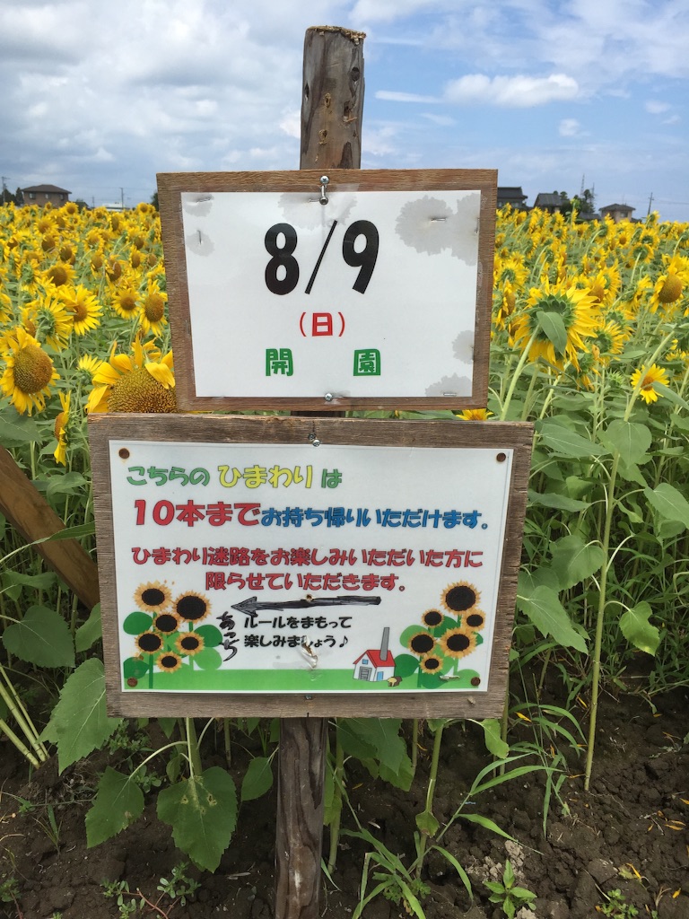 f:id:pur27:20150814133115j:image f:id:pur27:20150814133115j:image