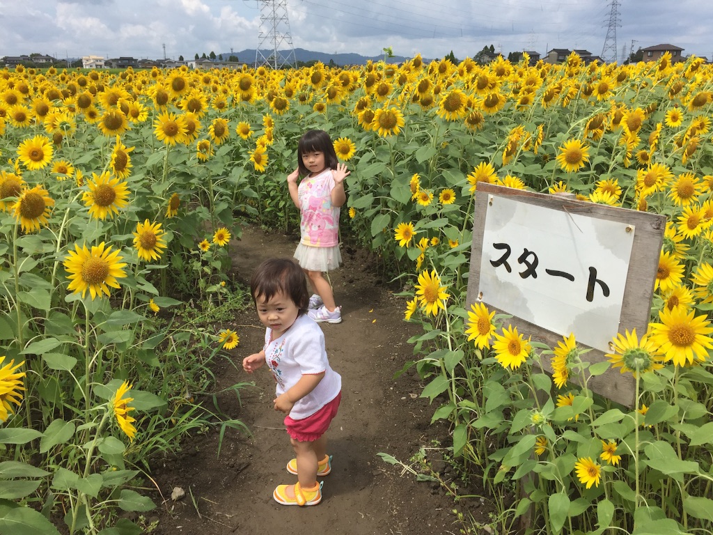 f:id:pur27:20150814133530j:image f:id:pur27:20150814133530j:image