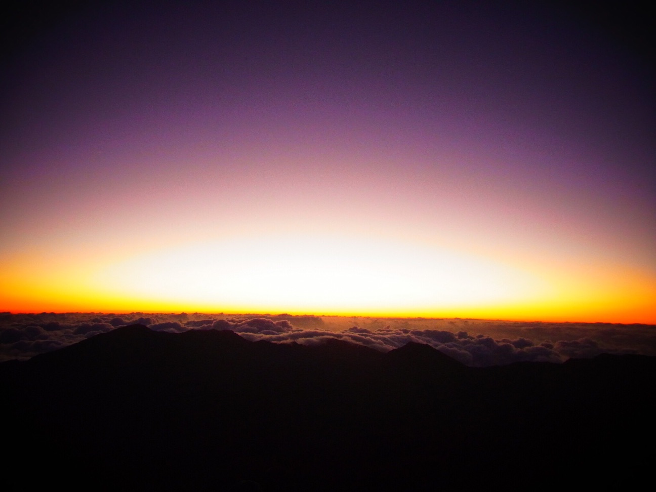 f:id:puspam:20150518132547j:image f:id:puspam:20150518132547j:image