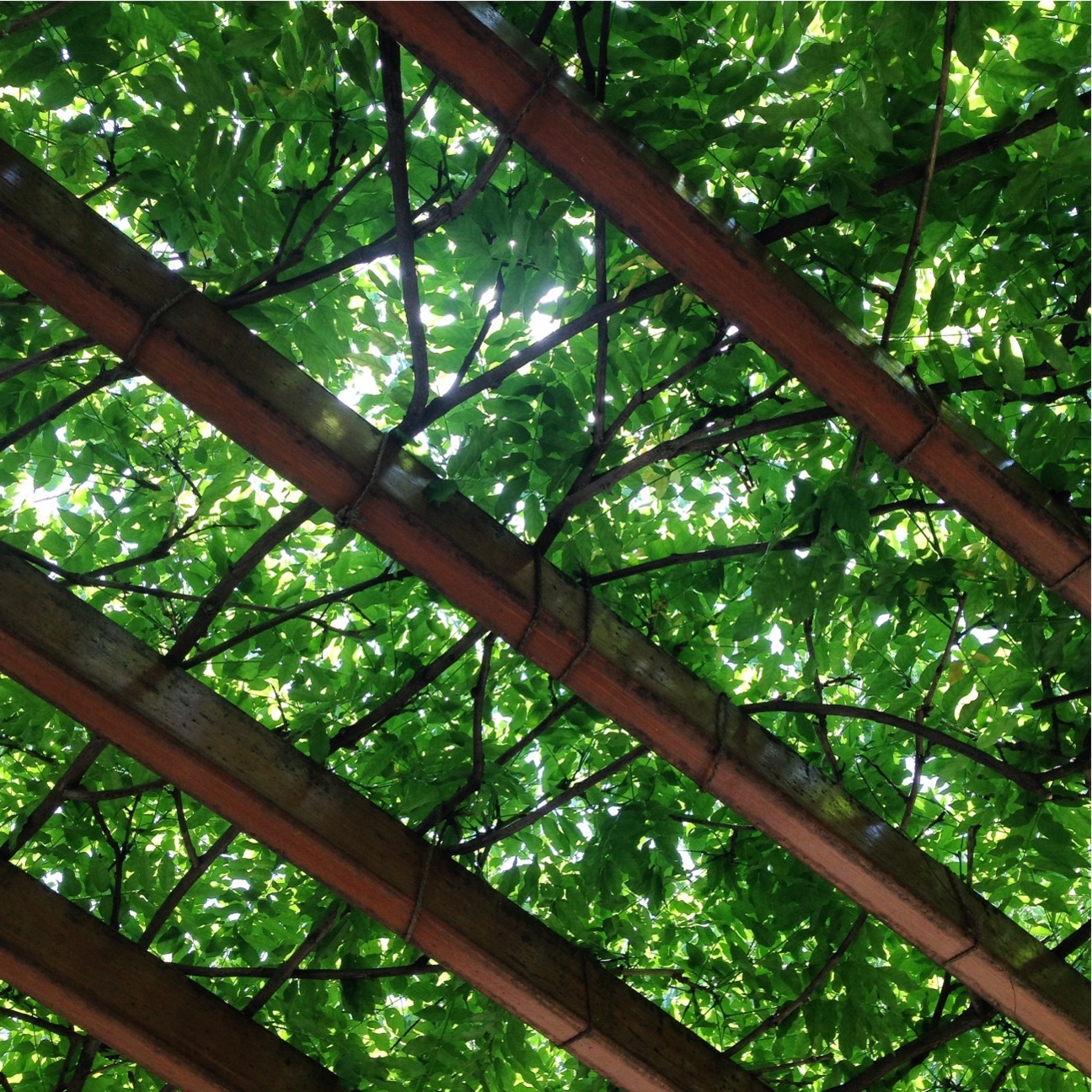 f:id:puspam:20150522135456j:image f:id:puspam:20150522135456j:image