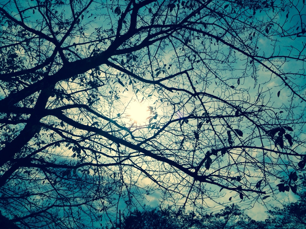 f:id:pxe:20151112233033j:plain f:id:pxe:20151112233033j:plain