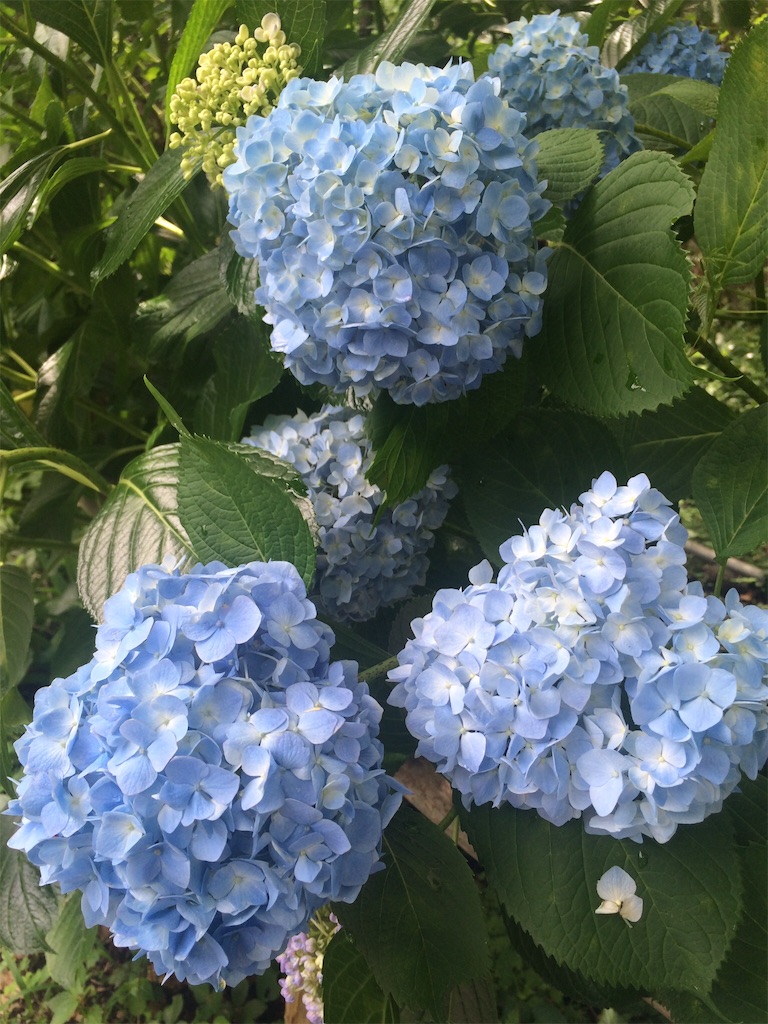 f:id:pysd:20160622211258j:image f:id:pysd:20160622211258j:image