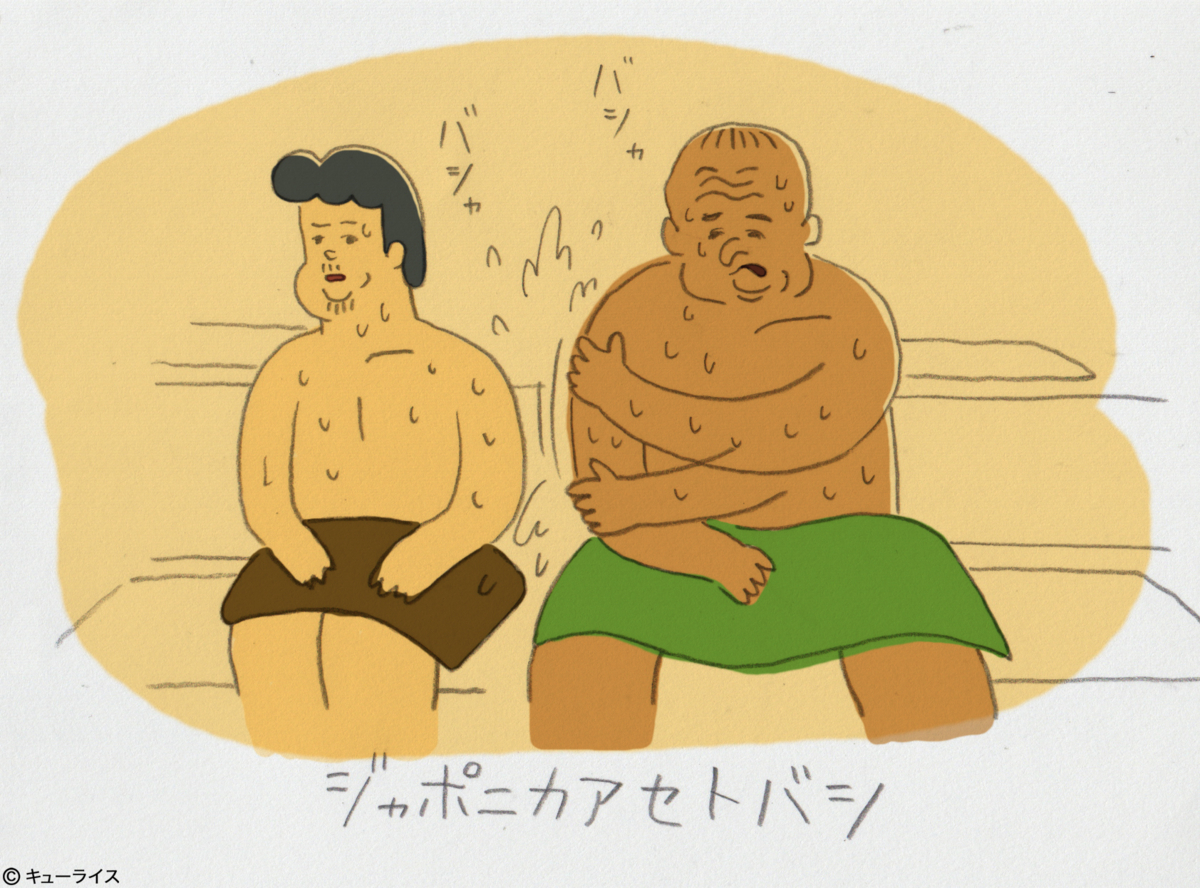 f:id:q-rais:20160118165334j:plain