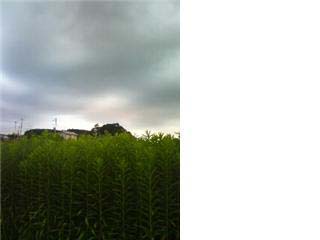 f:id:qco45:20101018002645j:image f:id:qco45:20101018002645j:image