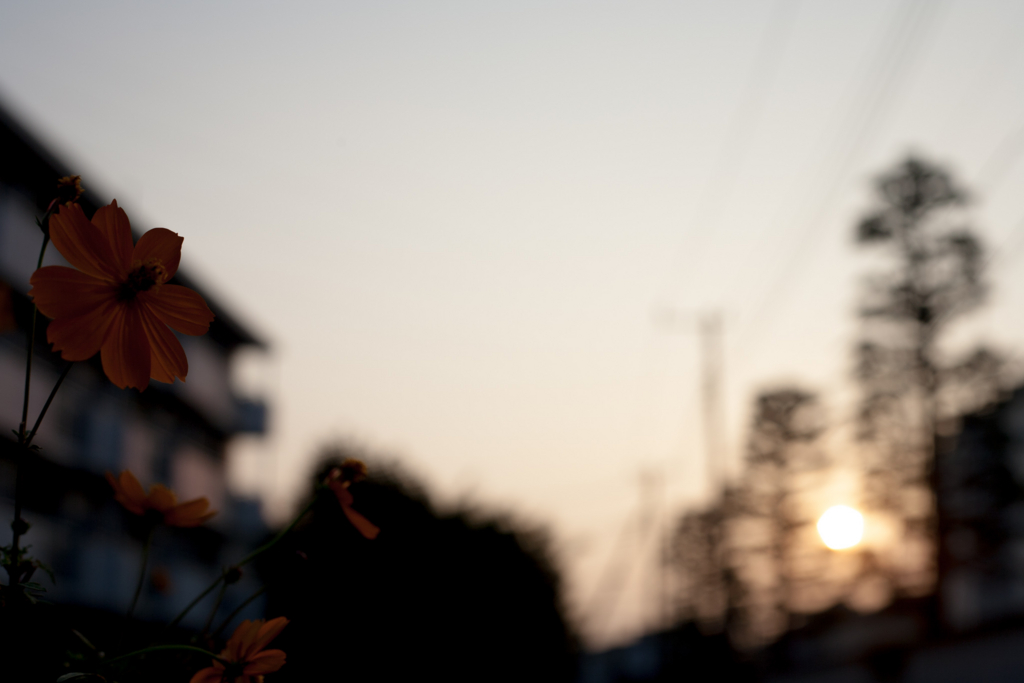 f:id:qtamaki:20151024063423j:plain f:id:qtamaki:20151024063423j:plain