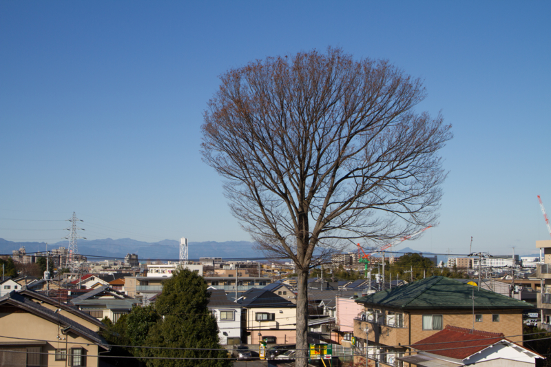 f:id:qtamaki:20151222095510j:plain f:id:qtamaki:20151222095510j:plain