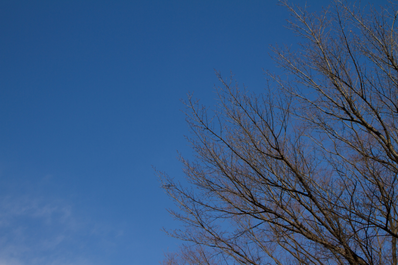 f:id:qtamaki:20160111131635j:plain f:id:qtamaki:20160111131635j:plain