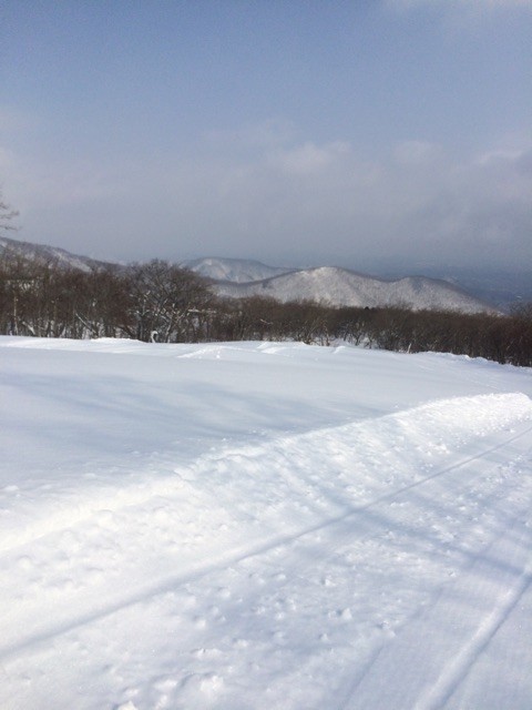 f:id:quint:20150211205033j:plain f:id:quint:20150211205033j:plain