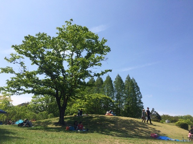f:id:quint:20150505134539j:image f:id:quint:20150505134539j:image
