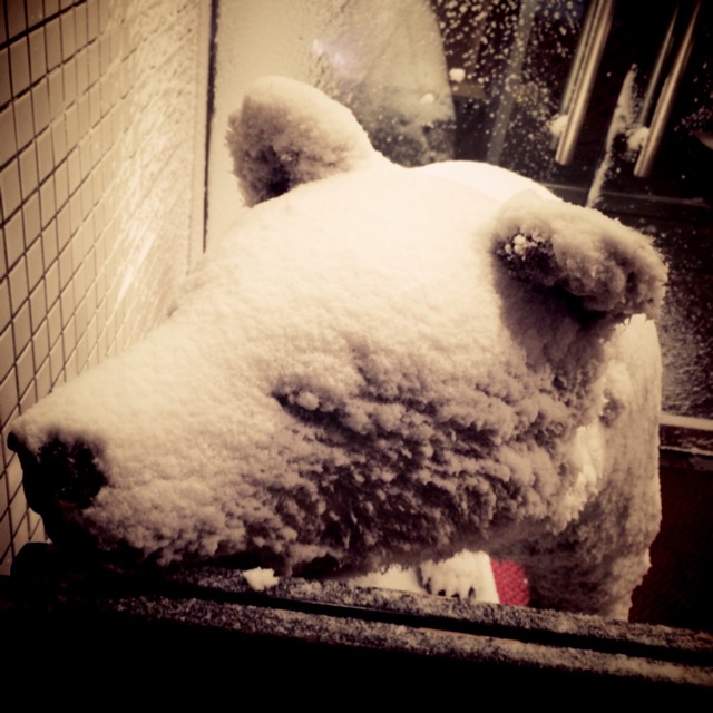 f:id:qurumie:20150121101346j:plain f:id:qurumie:20150121101346j:plain
