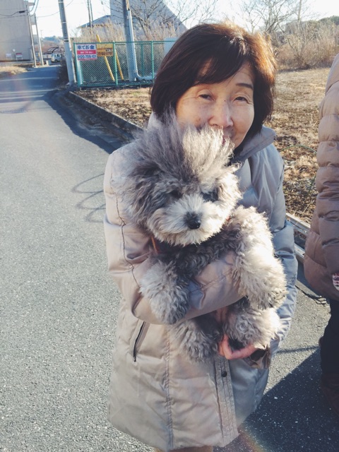 f:id:r-tani-hair:20150103124238j:plain f:id:r-tani-hair:20150103124238j:plain