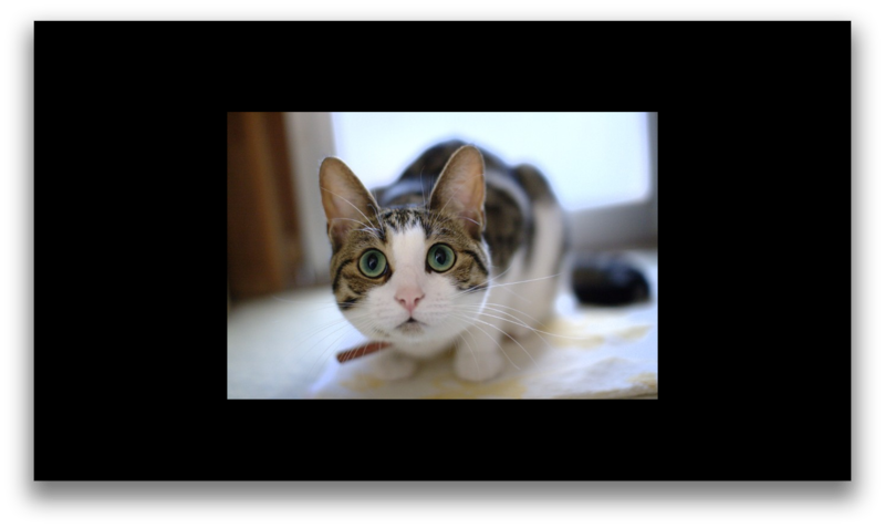 f:id:r_kurain:20111023233105p:image:w300 f:id:r_kurain:20111023233105p:image:w300