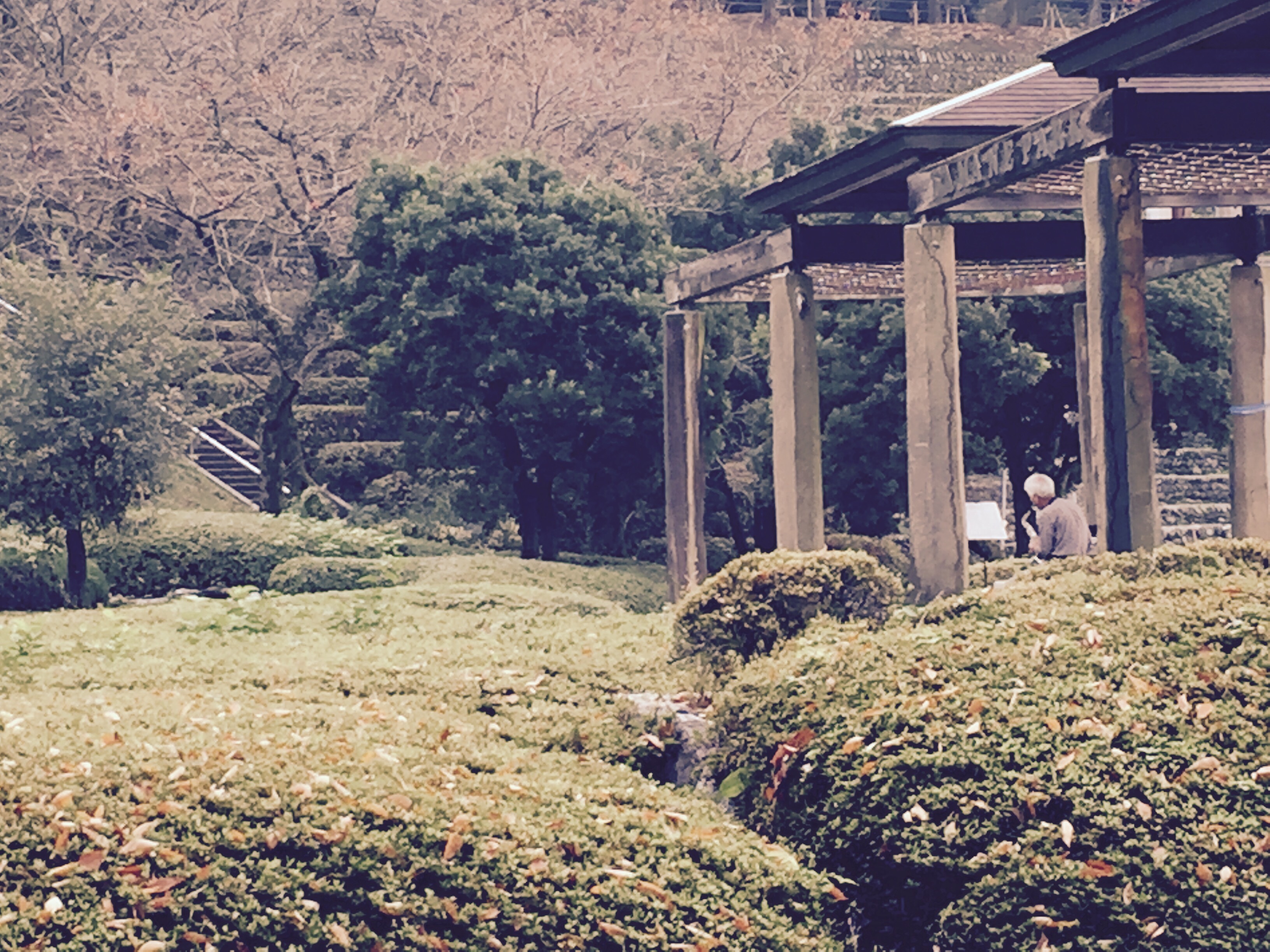 f:id:raiannka:20151108112014j:image f:id:raiannka:20151108112014j:image
