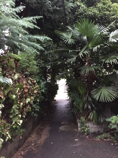f:id:rain-cascade:20150901112606j:image f:id:rain-cascade:20150901112606j:image