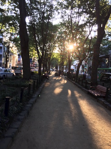 f:id:rain-cascade:20150921204543j:image f:id:rain-cascade:20150921204543j:image